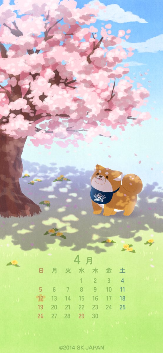 忠犬もちしば【公式】 tweet media