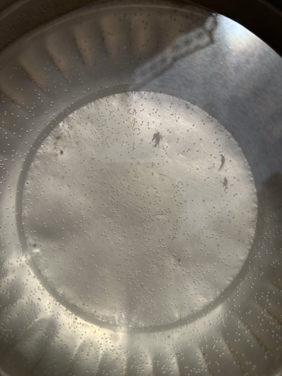 UDH_explorer's tweet photo. 🚨 Urgent Complaint to PHE Udhampur 🚨

I, a resident of Ward No. 15 (back side of Raj Palace, Udhampur) facing extremely poor and filthy water supply. The water is so contaminated that it is choking our taps and water tanks, making it completely unfit for use.

This is not just an inconvenience, it poses a serious health risk. Such polluted water can lead to life-threatening diseases like hepatitis and other infections.

We request immediate action to inspect and resolve this issue at the earliest. Clean drinking water is a basic necessity, not a luxury.
☢️☢️‼️
🚨🚨🚨🚨🚨🚨🚨🚨

@xen_jal #Udhampur #WaterCrisis #PublicHealth @udhadm @dioudhampur @ceomcudhampur @udhampurOFCL @CBCUdhampur @BalwantMankotia