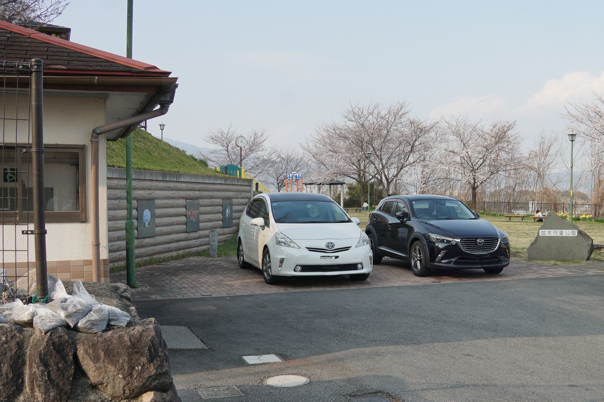 12巻68話で独楽ちゃんが黒菜にプレゼントを渡した公園もこの児童公園ですよね。辛うじて桜の季節に来られて良かったです😊
#リュウコミックス
#ねこむすめ道草日記
<a href="/ikenokappa/">いけ　ねこむすめ道草日記</a>
