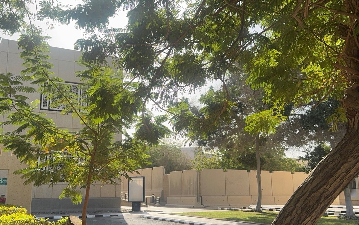 𝓬𝓲𝓭𝓻𝓪 tweet media