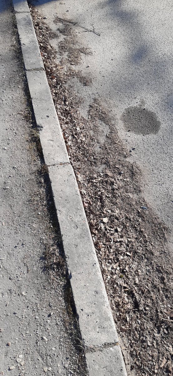 Armands Kalniņš tweet media