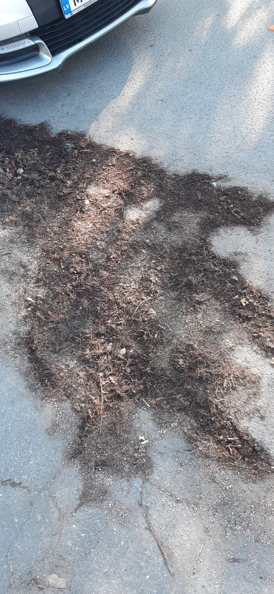 Armands Kalniņš tweet media