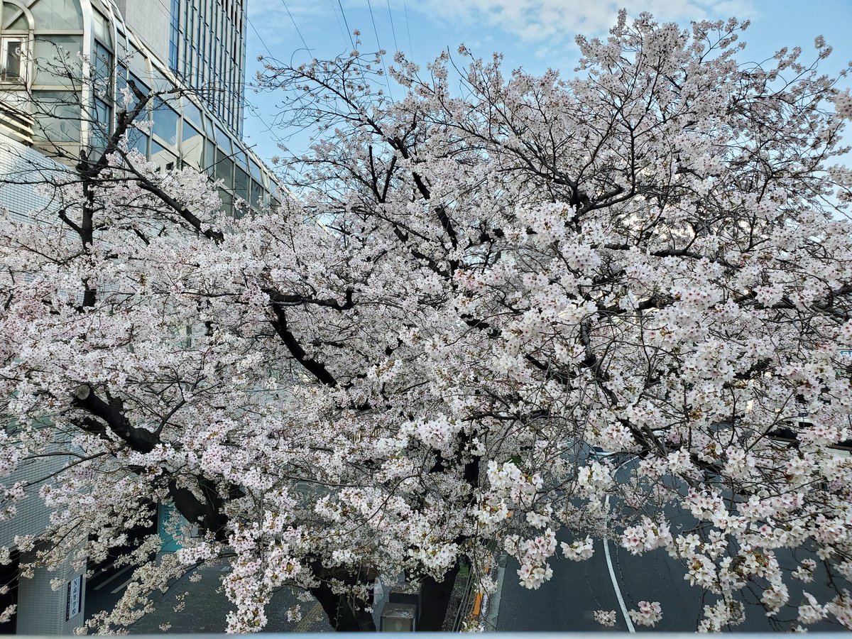 Yasuo Hamada tweet media