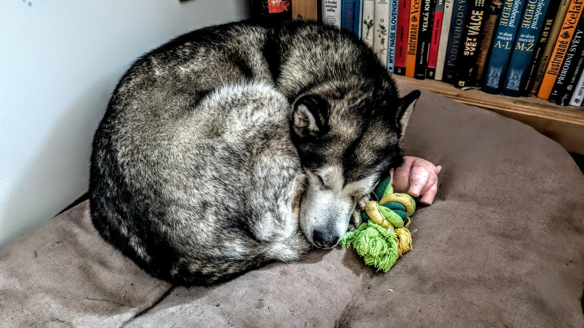 Středočeská Sešívka🇨🇿🇺🇦🇮🇱 tweet media