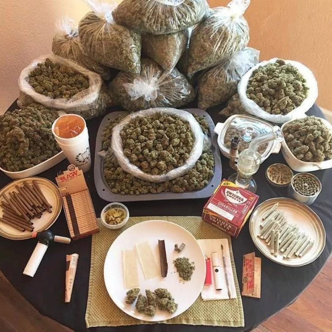 Artek Swaróg🌿💨🇵🇱 tweet media