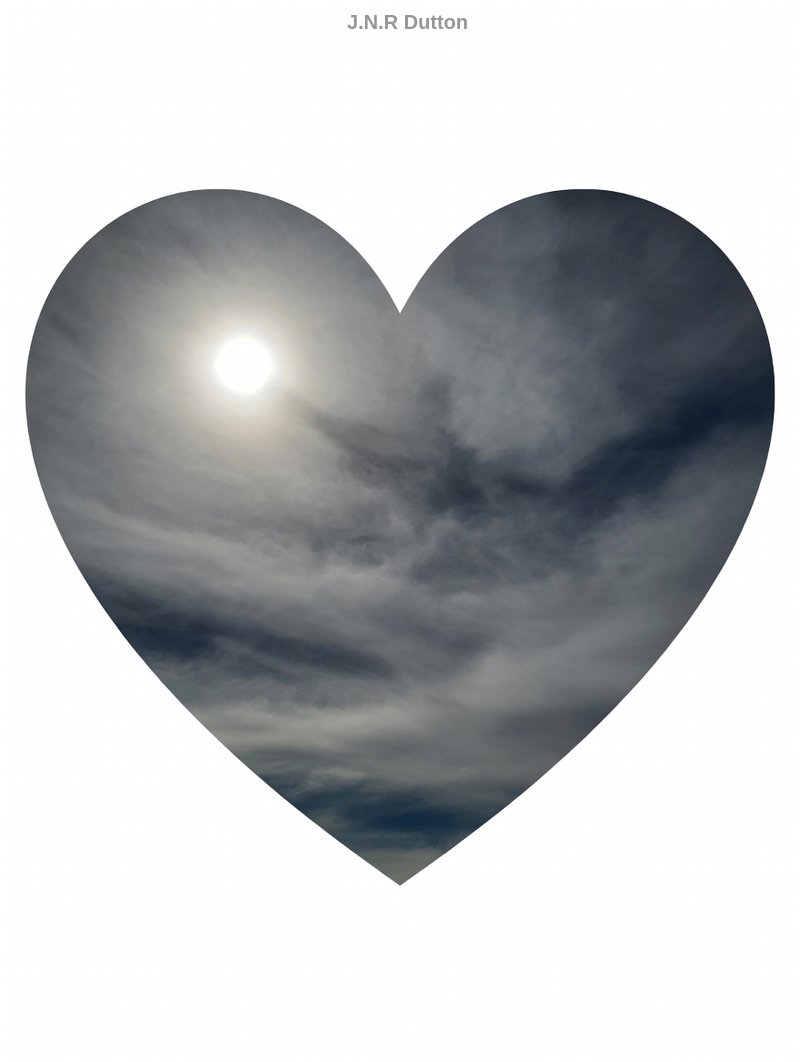 J.N.R Dutton tweet media