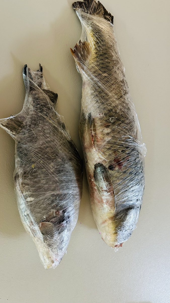 Versace💦 tweet media