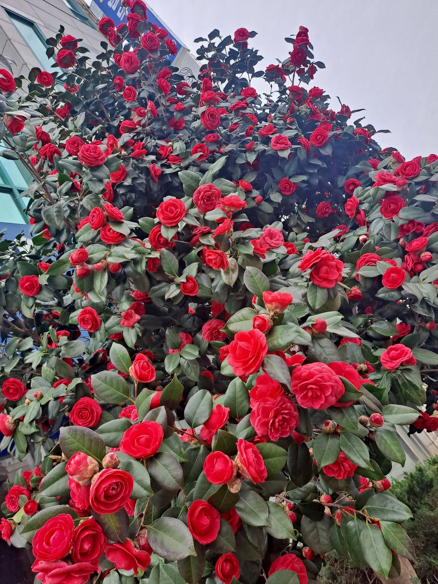 Wise Bird tweet media