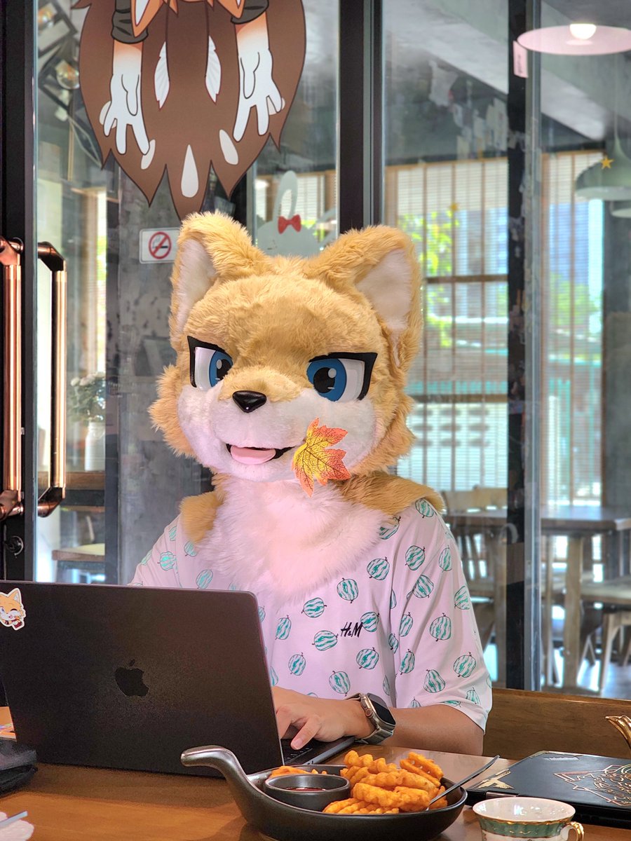 Maplefox 🍁 tweet media