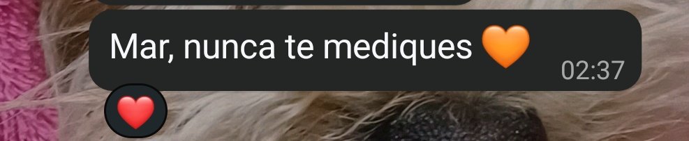 Wtf mar ★ 🍊 tweet media