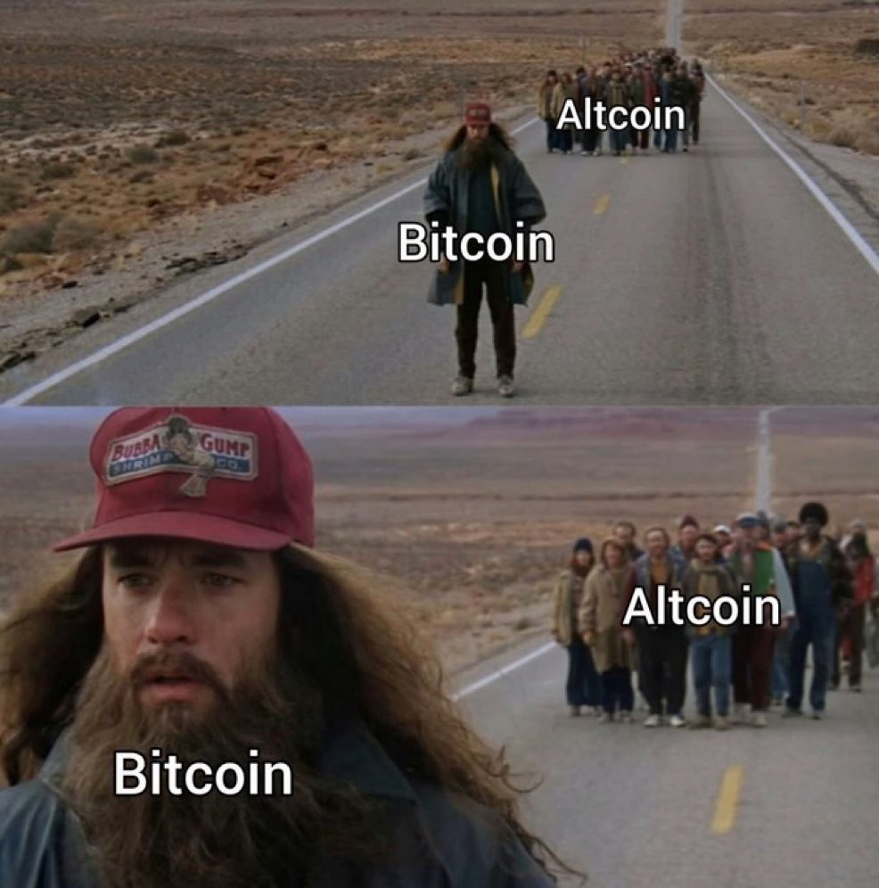 Ufo Calls 🛸 tweet media