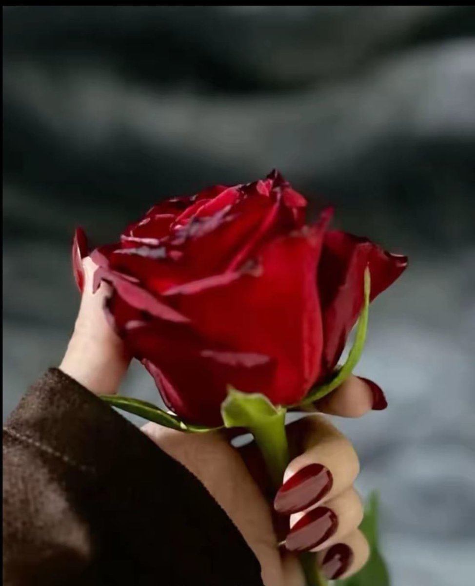 ʀɛɛʍ⇝❤︎ tweet media