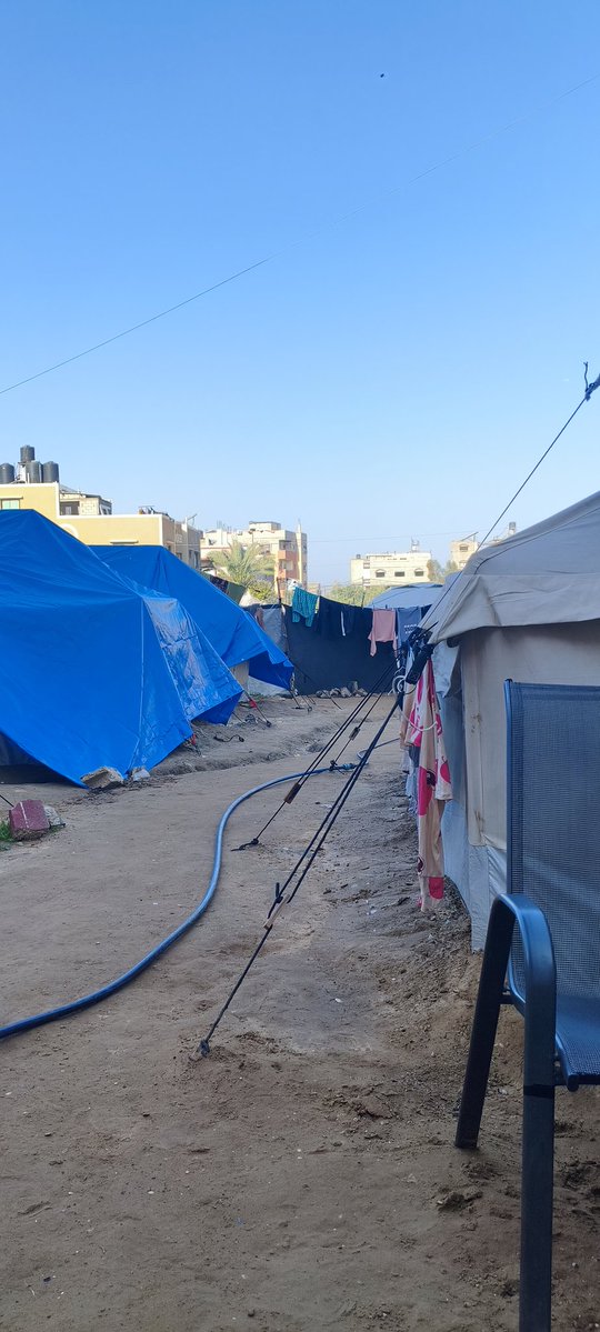 Nader Hamad. Gaza🇵🇸 tweet media