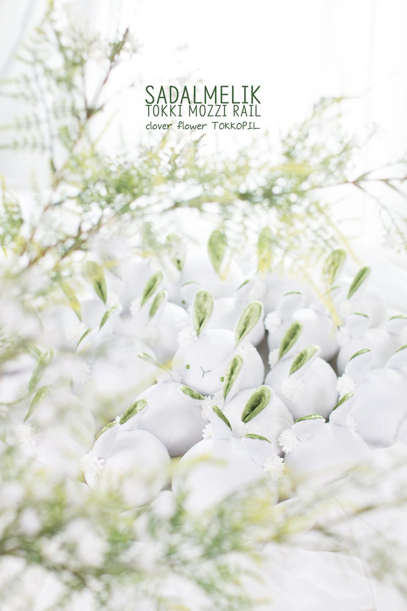 토끼모찌 레일 tweet media