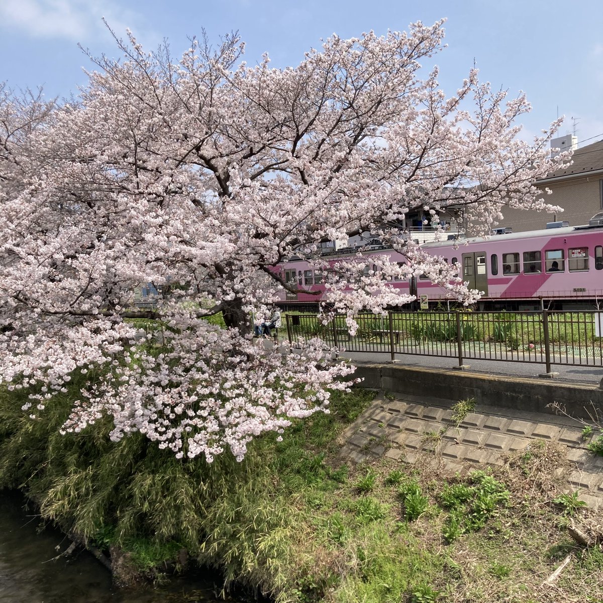 プルンバーゴ少尉 tweet media