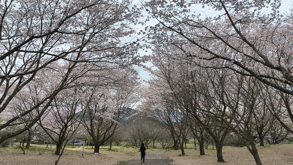 モーリー【CONNECT（個人事業主）代表】 tweet media