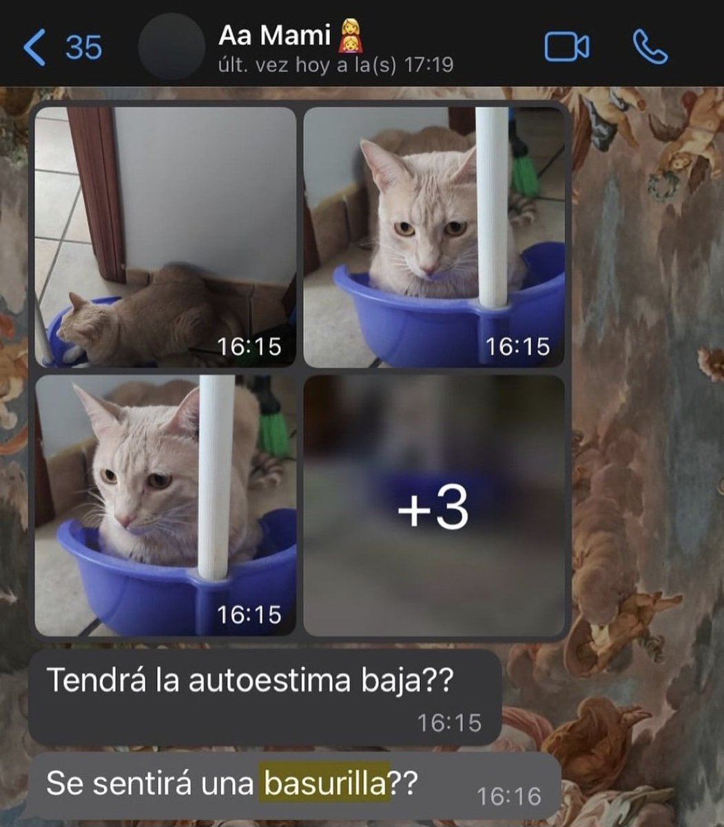 Animalitos en aprietos. tweet media