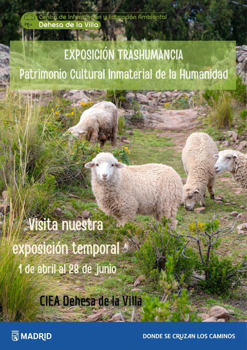 CuriosidadNatural tweet media