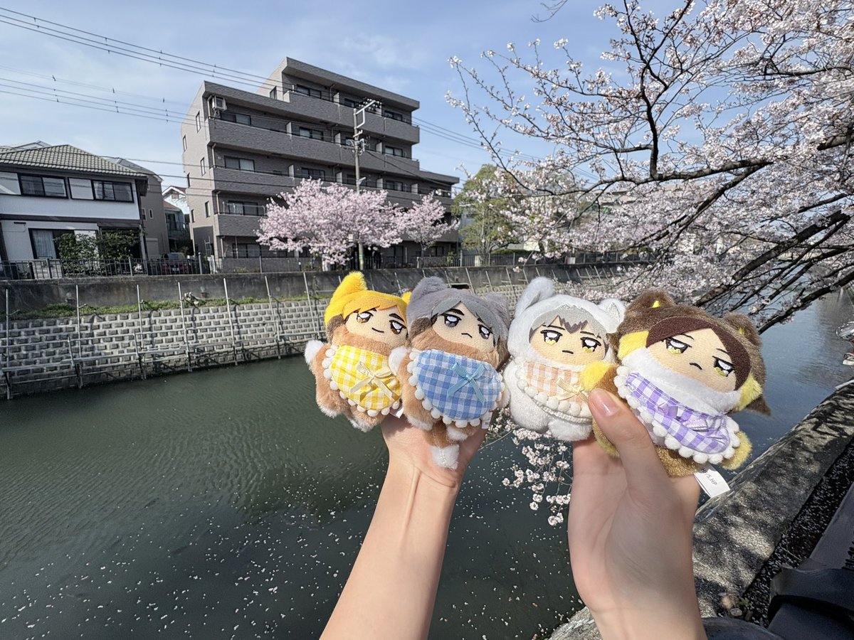 かんなし tweet media