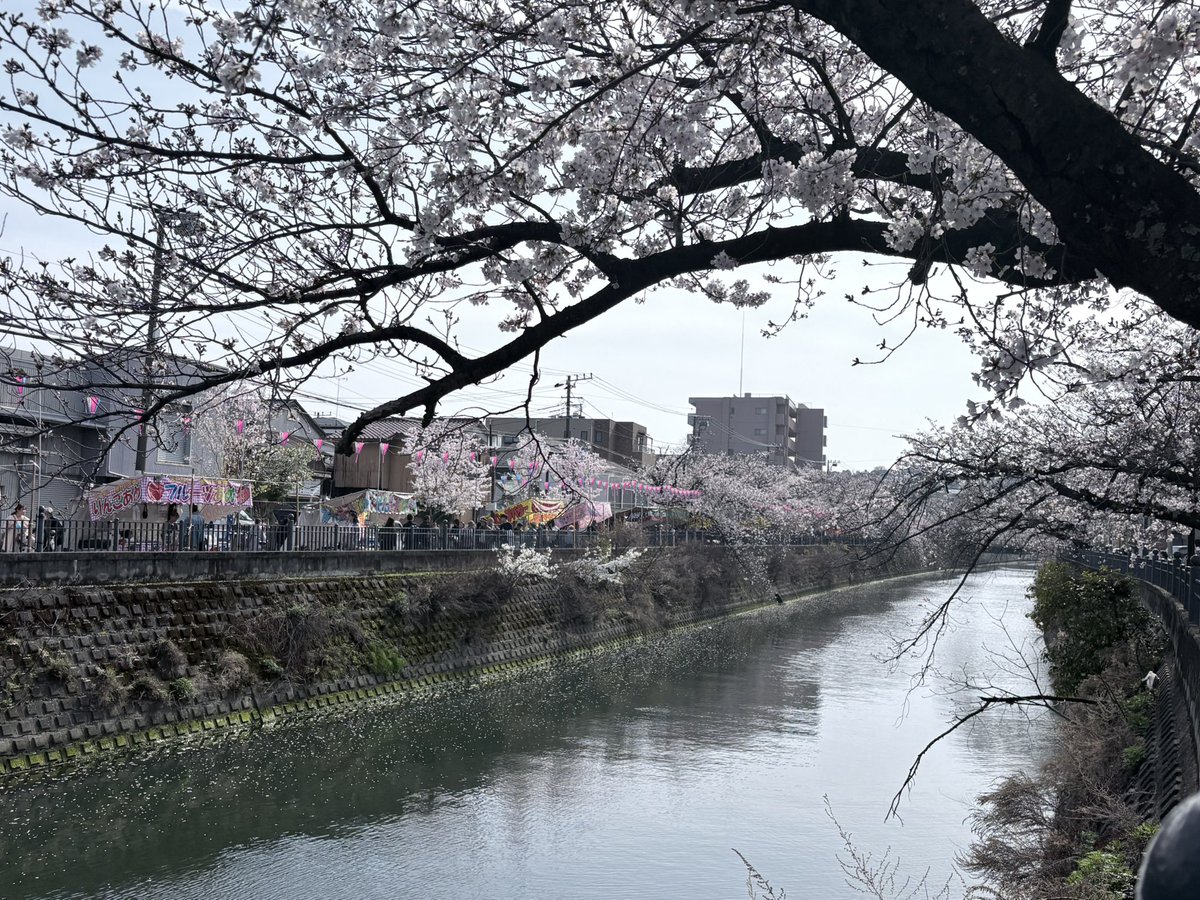 かんなし tweet media