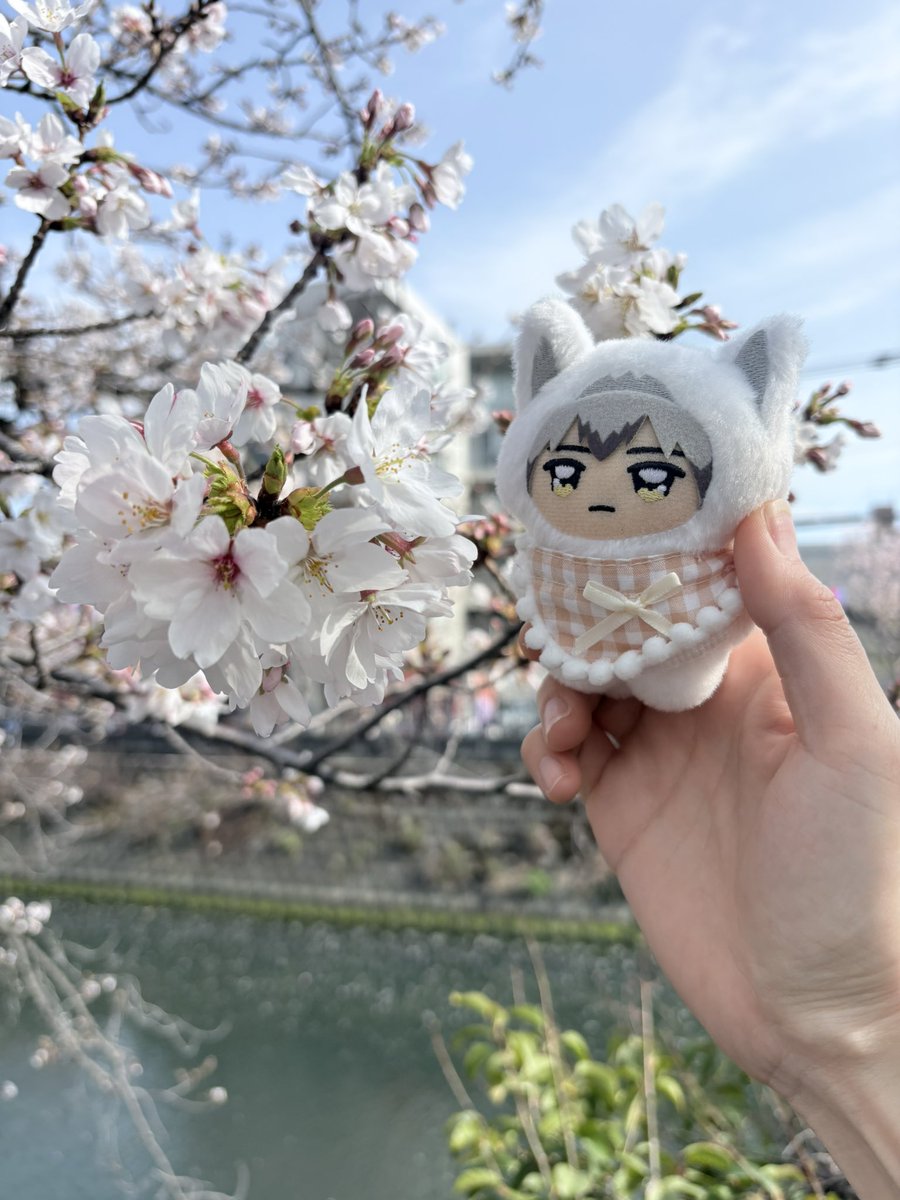 かんなし tweet media