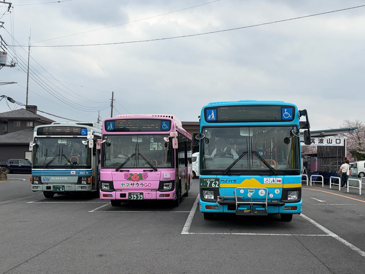 しゅんつく tweet media