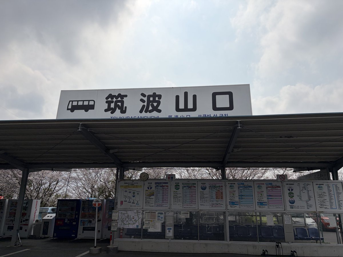 しゅんつく tweet media