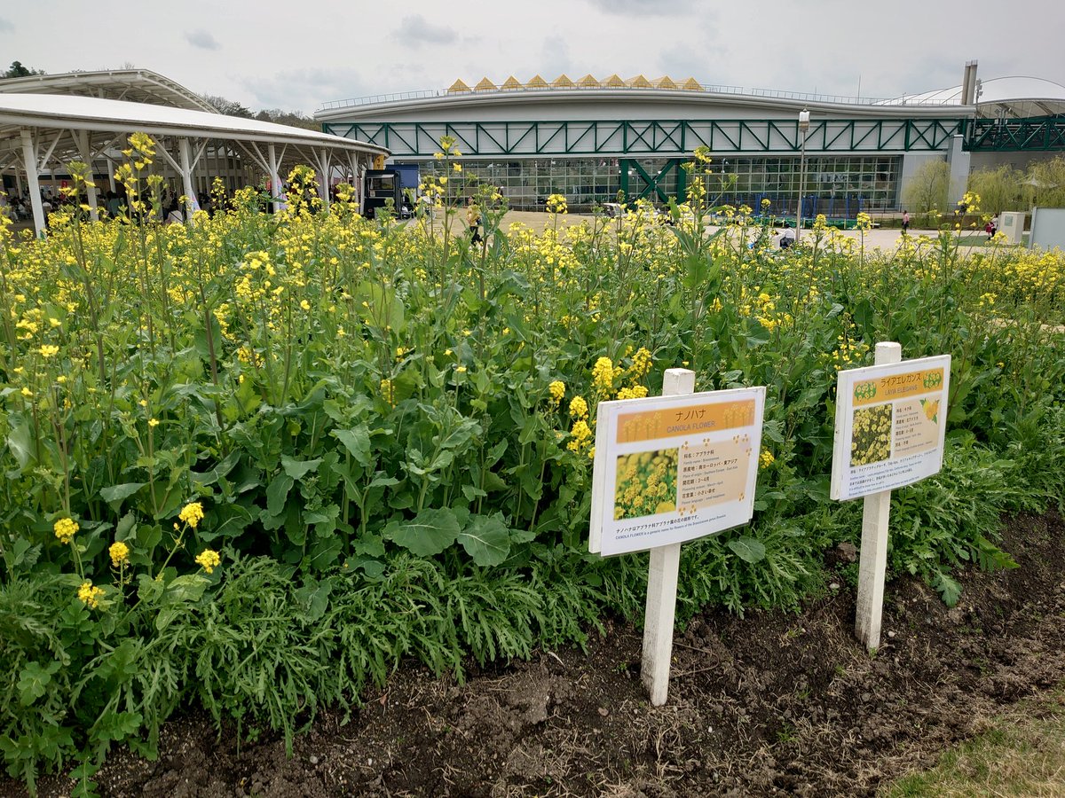 Takaaki Hagino tweet media