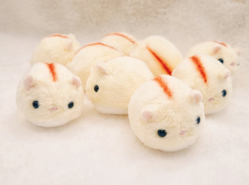 꼬누비 tweet media