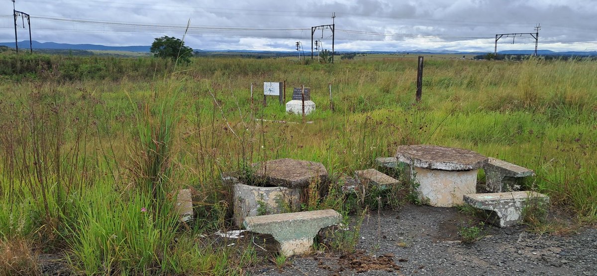 Mike the Warthog tweet media