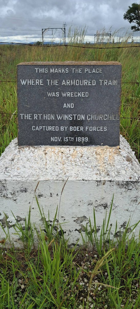 Mike the Warthog tweet media