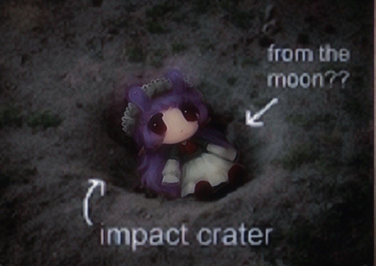 molly 🐌 tweet media