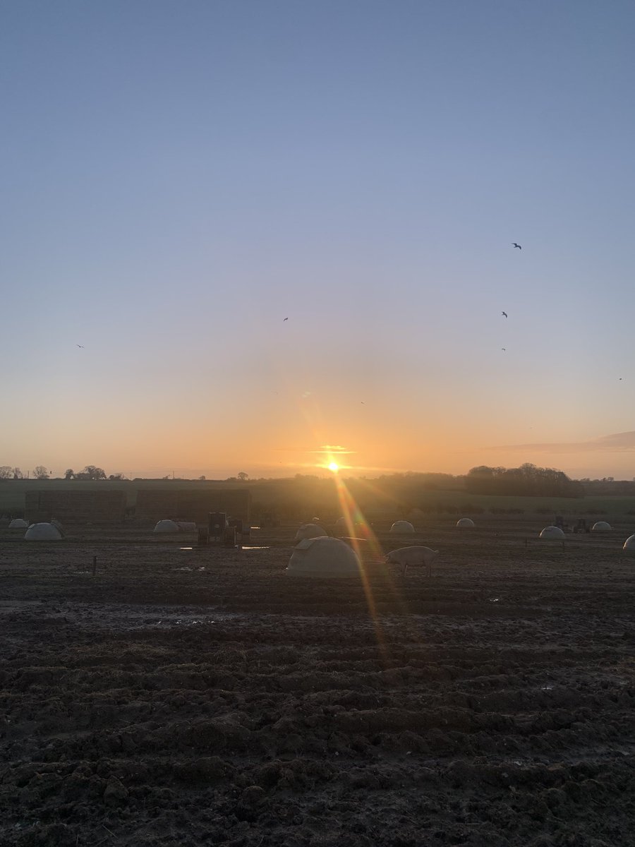 🏴󠁧󠁢󠁥󠁮󠁧󠁿mOntY🏴󠁧󠁢󠁥󠁮󠁧󠁿 tweet media