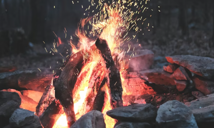 SparkNherd's tweet photo. Overheating Android = short battery life, slow performance, and permanent damage.

Here's why it happens,  and how to cool it down fast:
 👇
https://t.co/WLCPzUrfRz

#Android #Tech #Smartphone #TechTips https://t.co/o1G0HmIeM2