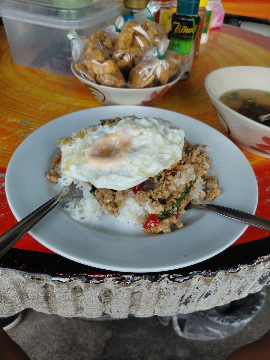 My favorite Thai dish is Kra Pao

Pad Kra Pao is a holy basil stir-fry. The star ingredient is kraphao - fresh holy basil with its unique peppery, clove-like aroma that no other basil can match.  
Minced pork, chicken or beef is stir-fried with garlic, fiery Thai bird’s eye