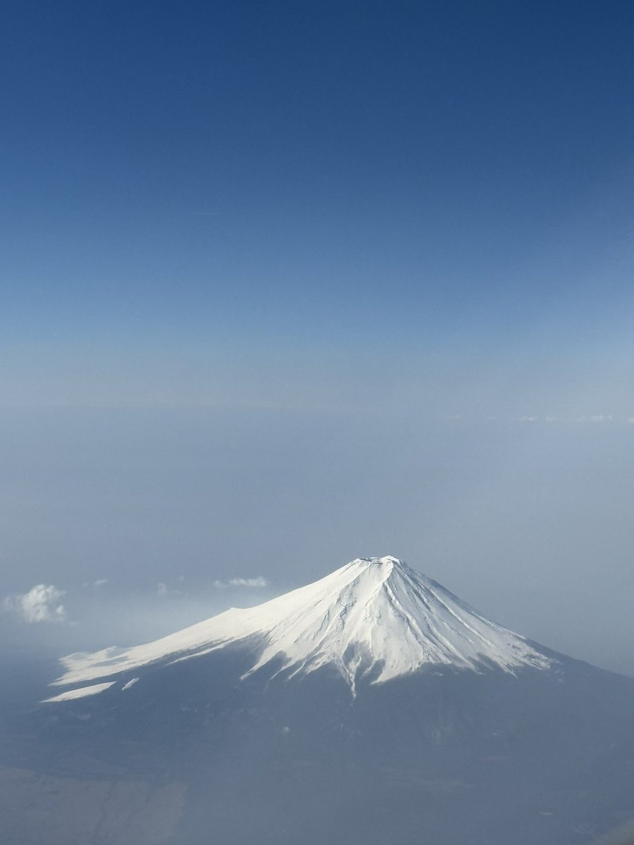 Hashimoto tweet media