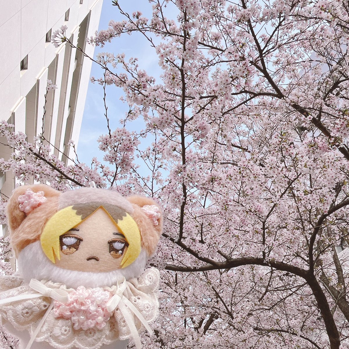 もにょ tweet media