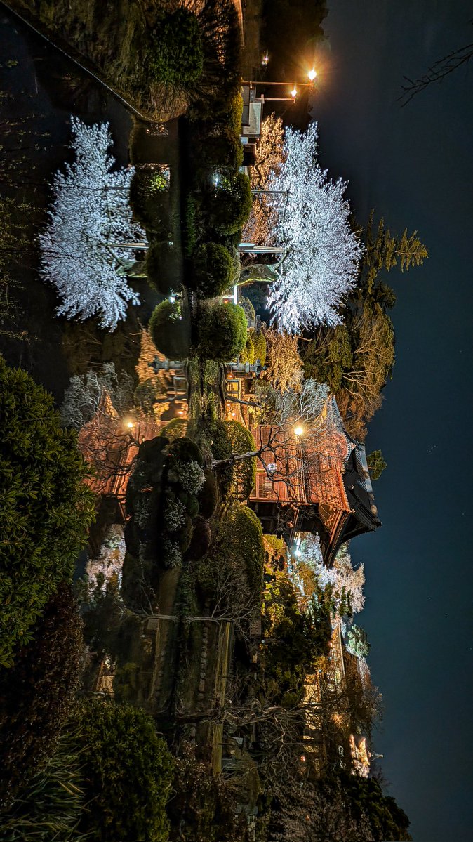 あっさらしい～！ tweet media