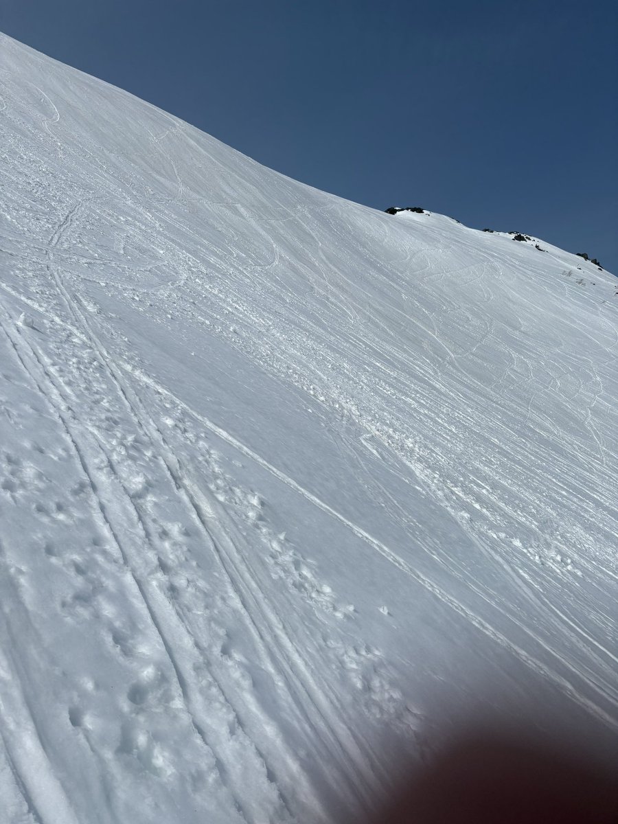 Summer@I am a skier. tweet media