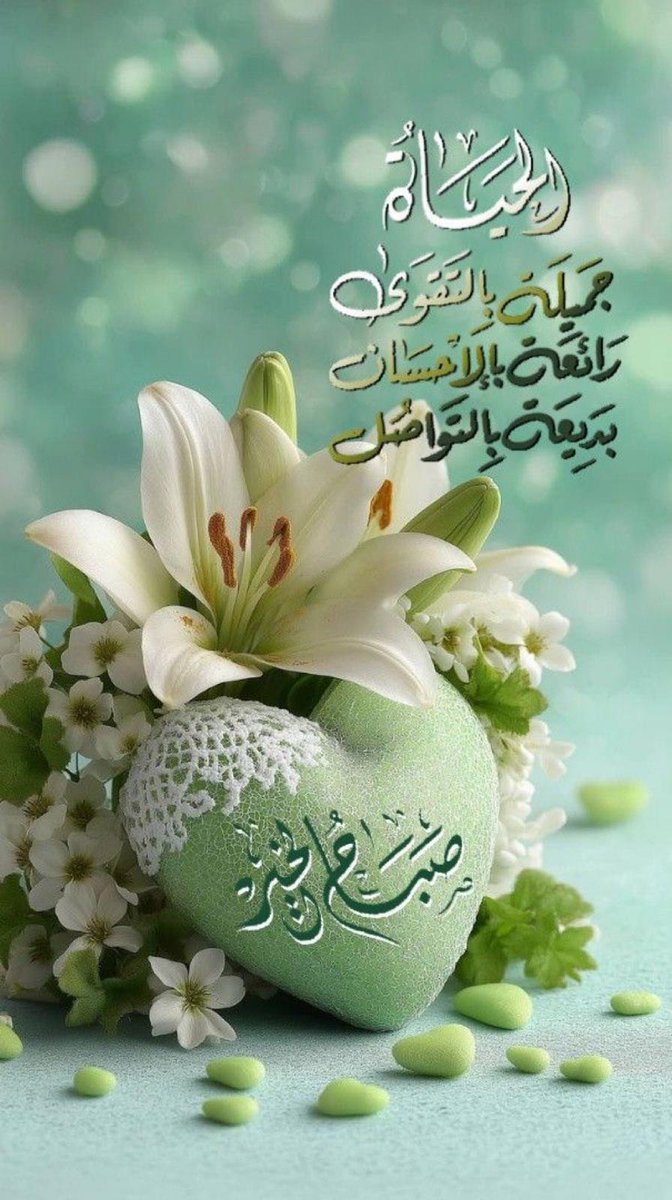 ‏سـېْــد الح‍وسـےﻧﻲ҈ tweet media