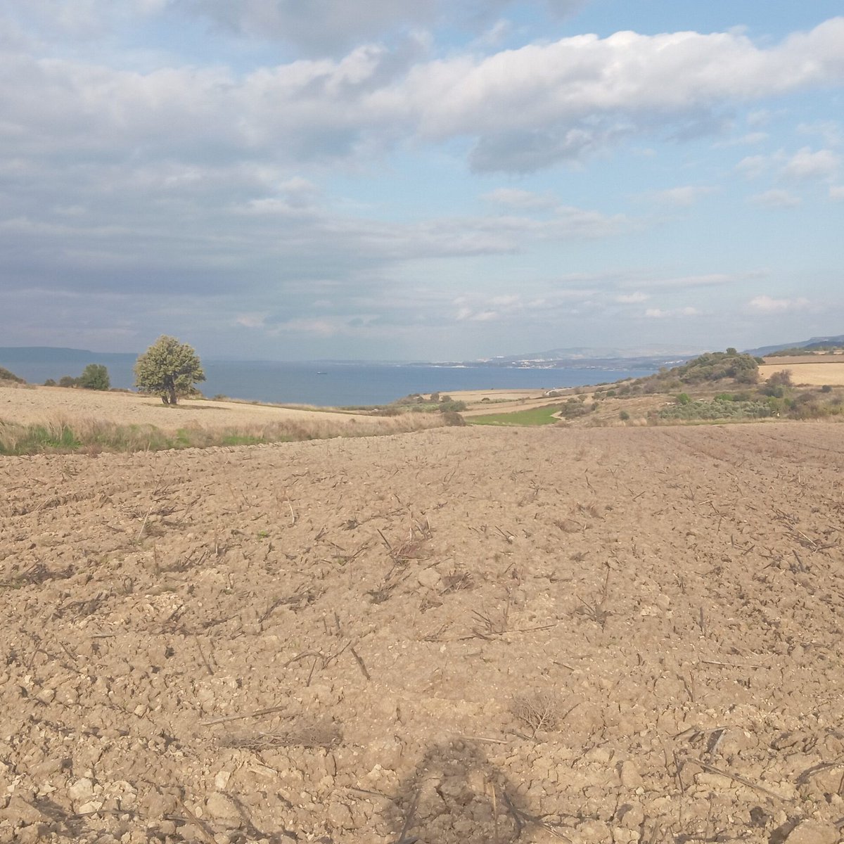 Boşuna Tıklama tweet media