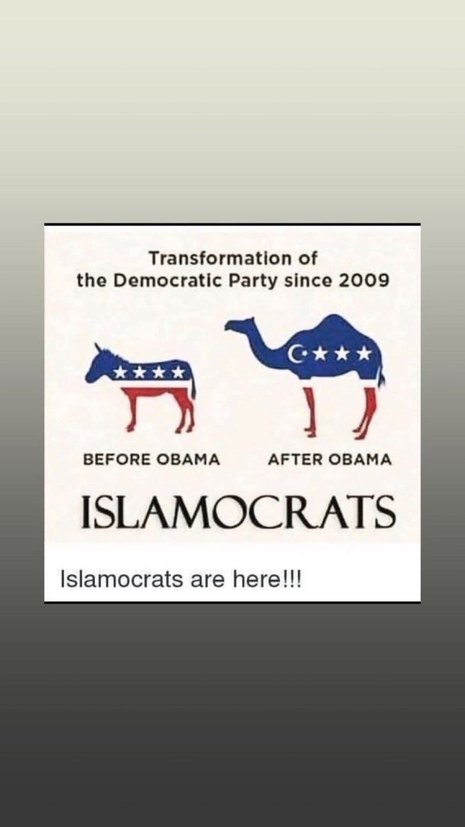 Ash Dash79 tweet media