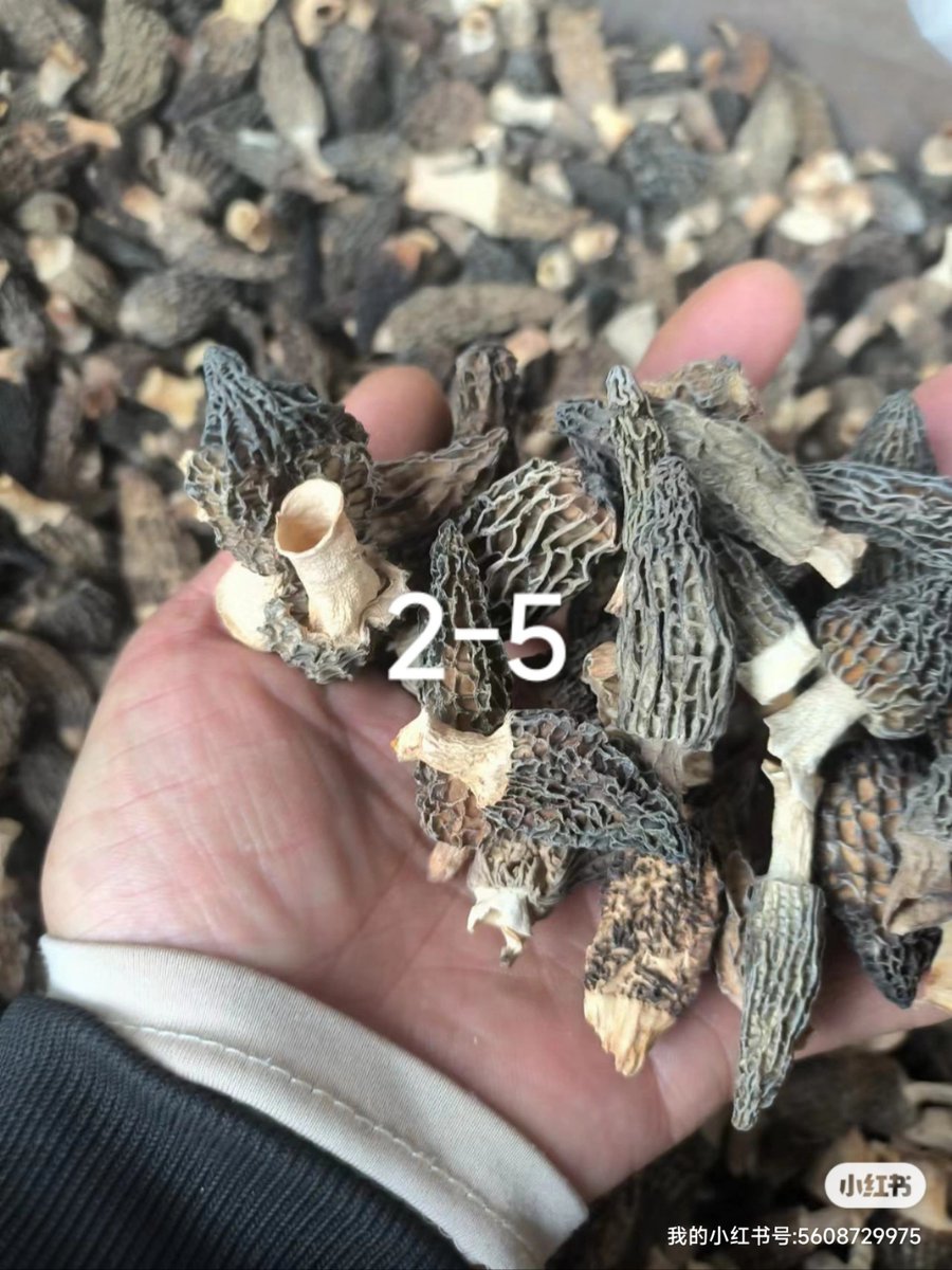 williams saavedra tweet media