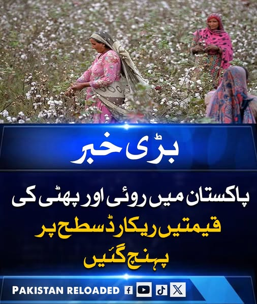 Pakistan Reloaded Official tweet media