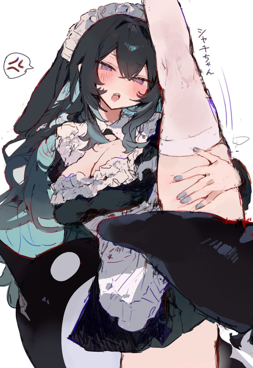 シャチちゃん💢 