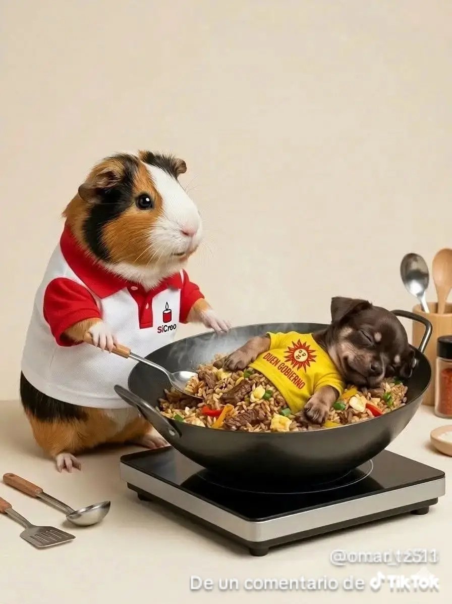 Furina Capitalista tweet media