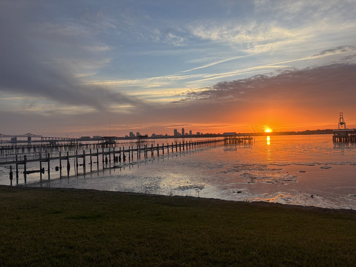 LilMissSunshine tweet media