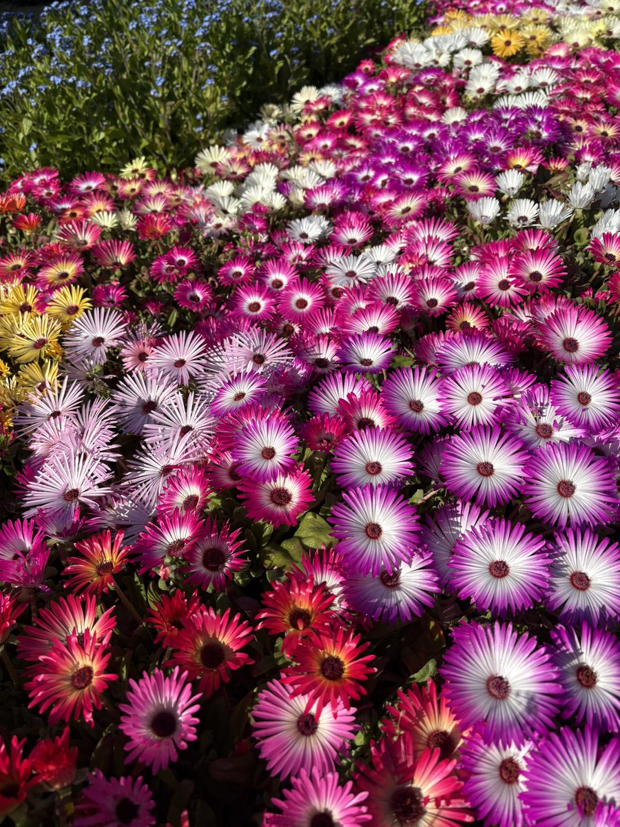 現役2世の小川ちゃん💁🏻♀️※本名です。 tweet media