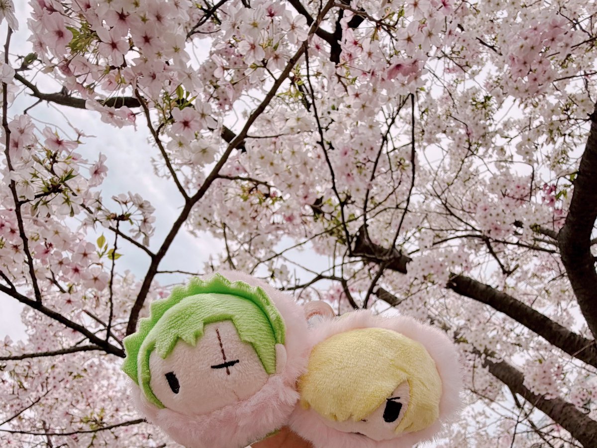 なめ通り tweet media