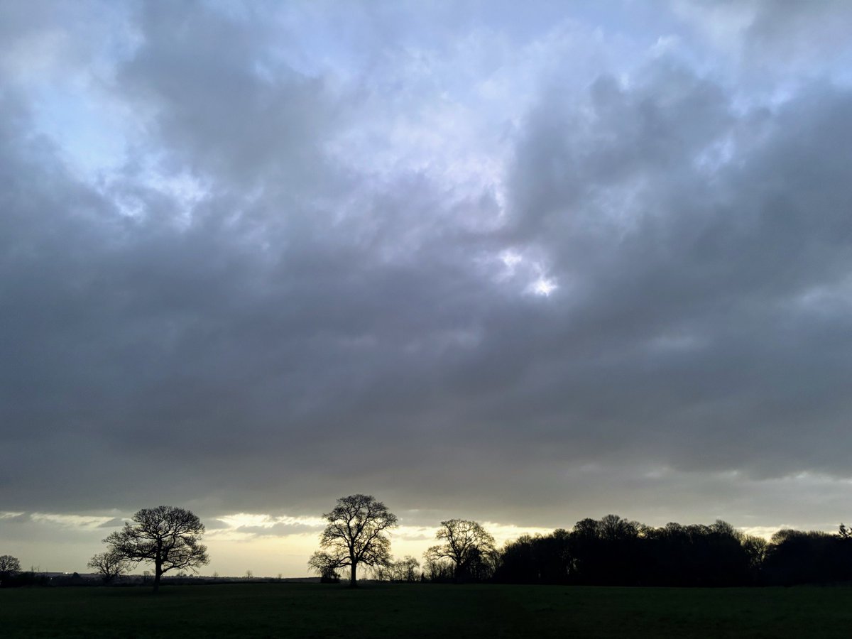 DevilMayCare tweet media